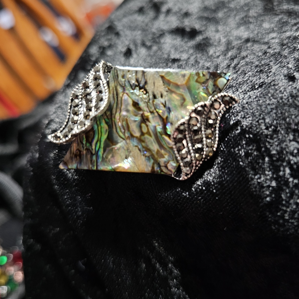 Elegant Abalone Shell Brooch with Silver Accents